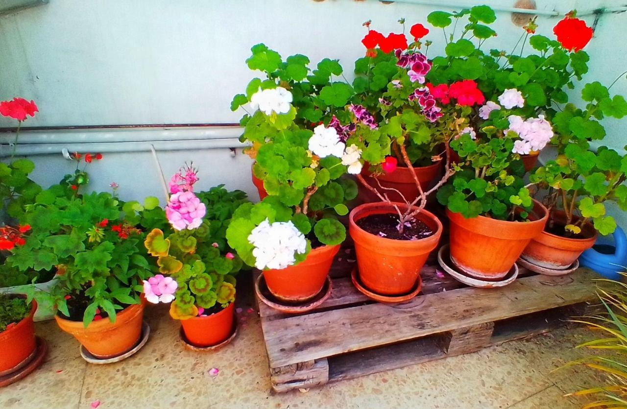 Hostal Pension Mar De Plata Lugo Bagian luar foto